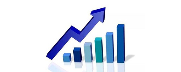 孵化器與網(wǎng)絡(luò)融資信息咨詢服務(wù) 賦能初創(chuàng)企業(yè)的雙引擎