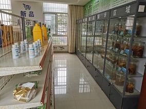 喜報(bào)！市水產(chǎn)站榮獲江蘇省漁業(yè)科技服務(wù)與示范推廣一等獎(jiǎng)，計(jì)算機(jī)系統(tǒng)服務(wù)功不可沒